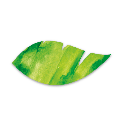 Logo Alpro