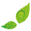 Logo Bielenda