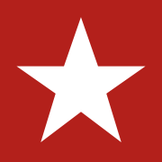 Znak marki Big Star